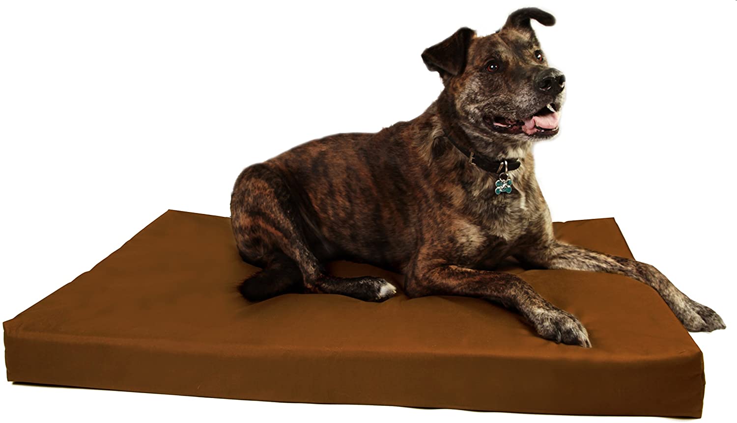 6 Best Dog Crate Beds and Pads in 2026