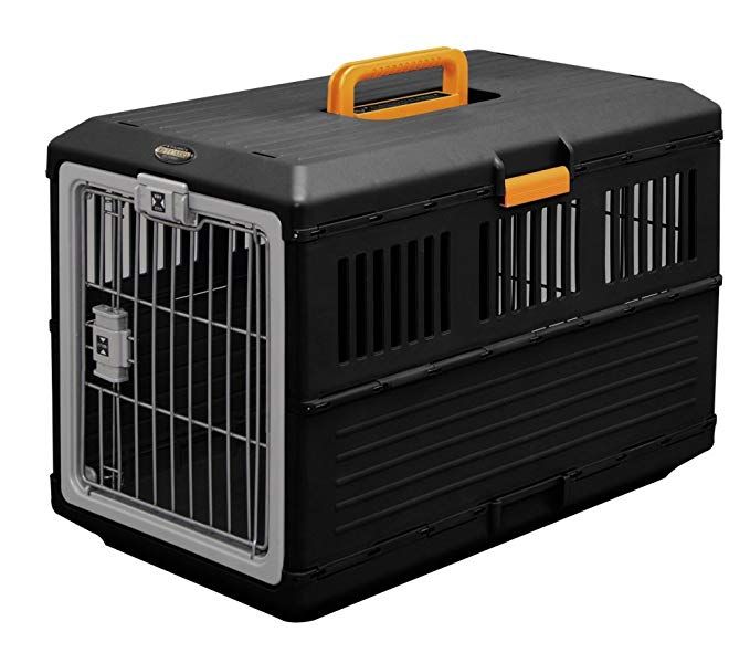 How to crate train a dog