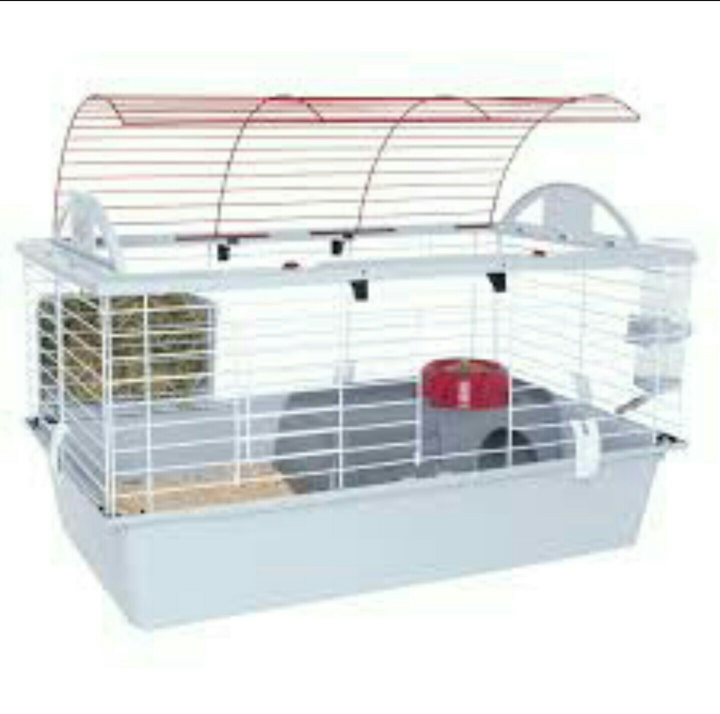 8 Best Guinea Pig Cages in 2026