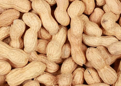 Are Peanuts Good For Hamsters?