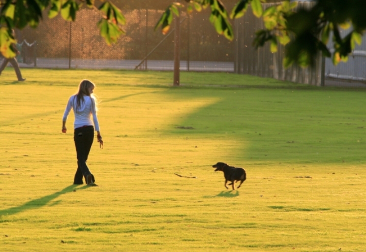 How to Correctly ‘Loose Leash Walk’ Your Dog