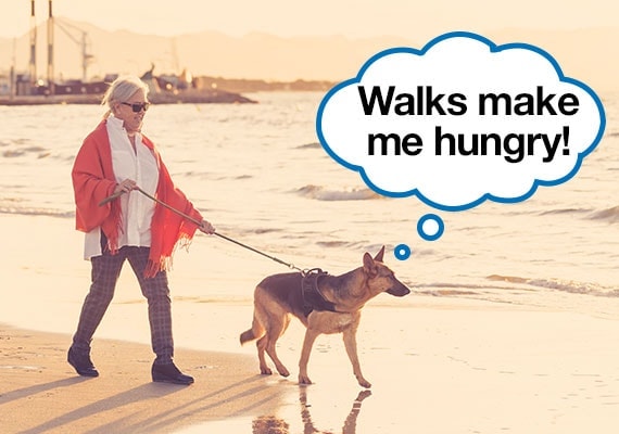 20 Tricks To Get A Picky Dog To Eat His Food