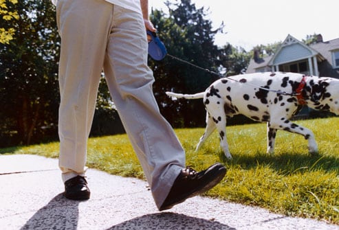 25 Ways To Get Healthier By Having A Pet