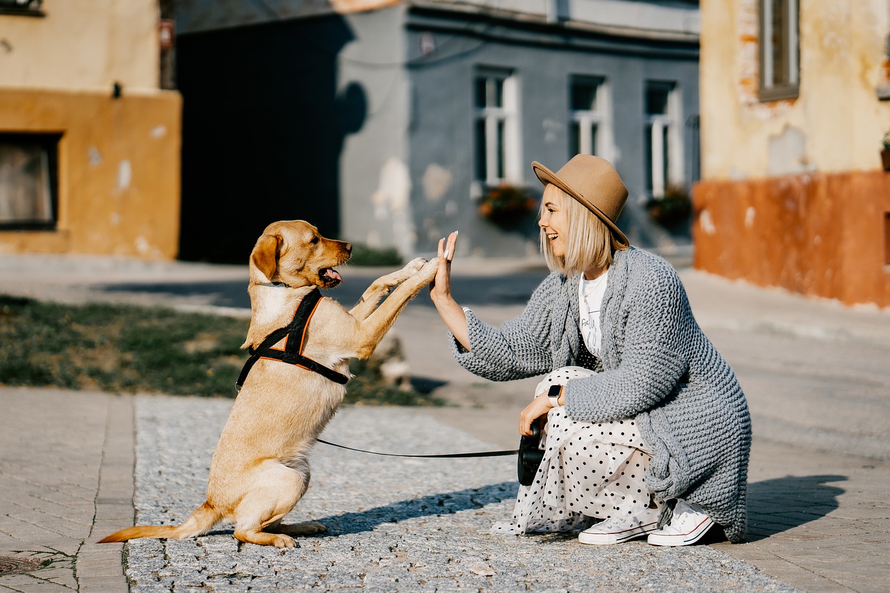 11 Questions Every Dog Owner Asks