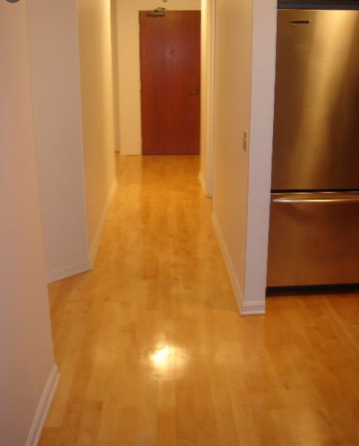 5 Tips To Create Your Most Dog-Friendly Apartment- Pet-Proof Your Place