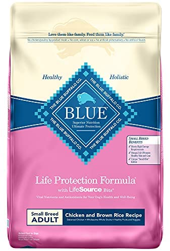 6 Best Dog Food For Chihuahua in 2026