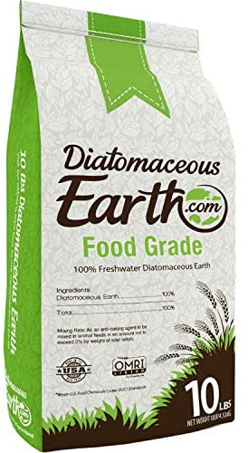 11 Best Flea Killers in 2026