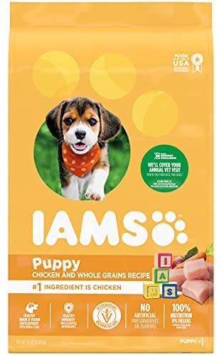 8 Best Dog Food for Corgis in 2026