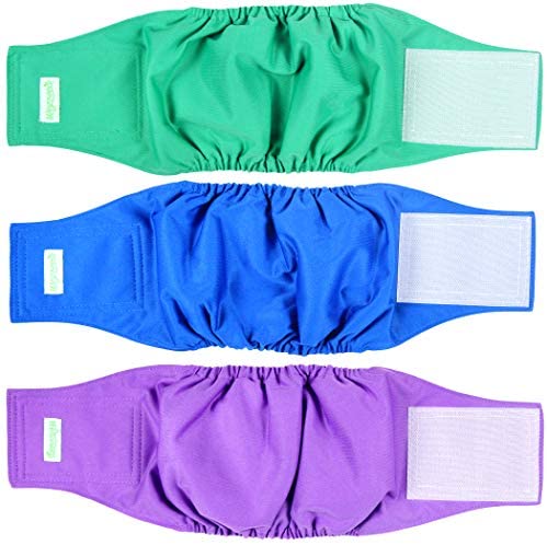 7 Best Dog Diaper for Your Canine Friend