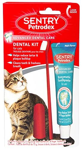 8 Best Cat Toothpastes in 2026