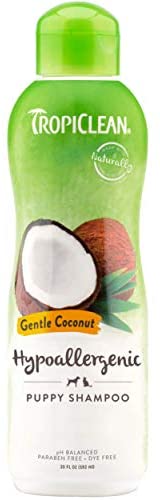 5 Best Cat Shampoo For your Feline Friend in 2026