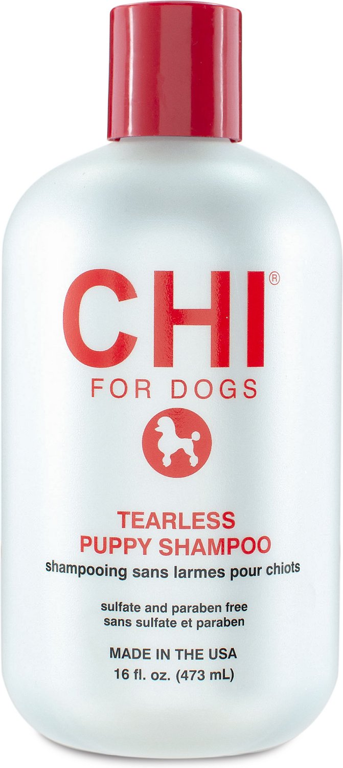 8 Best Puppy Shampoos in 2026