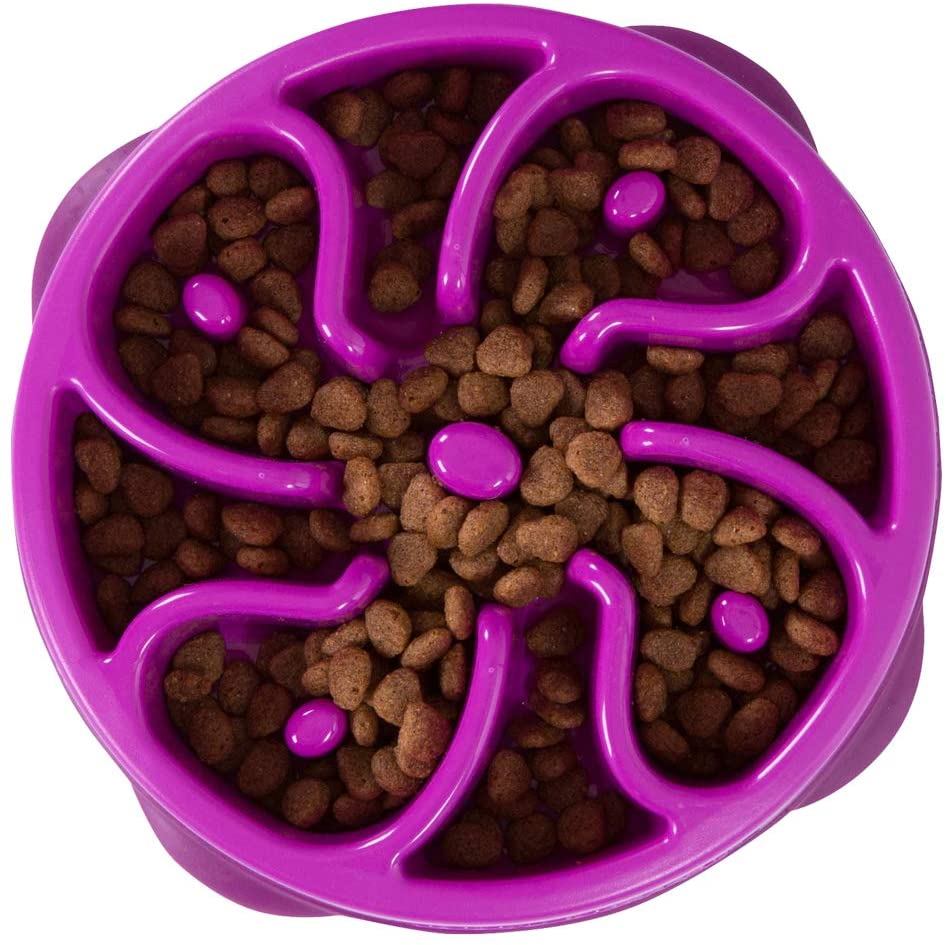 6 Best Slow Feed Dog Bowls in 2026