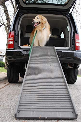 8 Best Dog Ramps in 2026