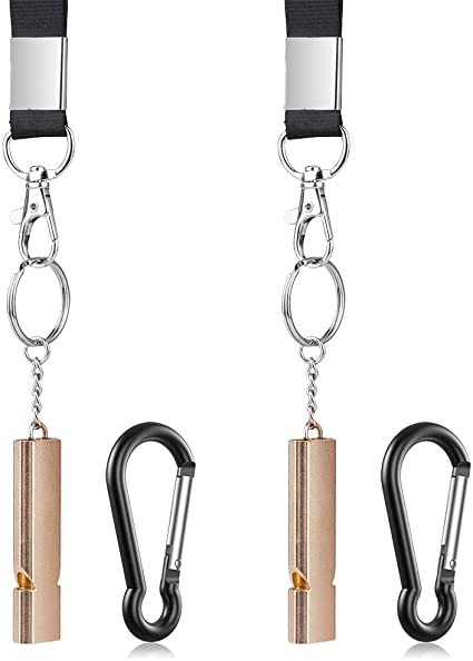 Best Dog Whistle For Training and Hunting in 2026