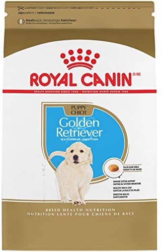 7 Best Dog Food for Golden Retrievers in 2026