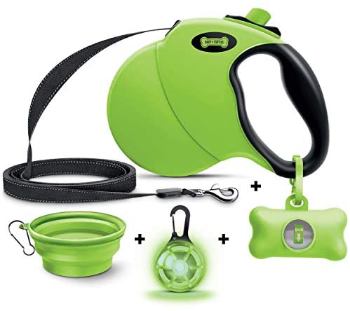 6 Best Retractable Dog Leashes in 2026
