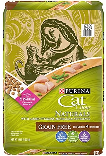 Best Affordable Grain Free Cat Food in 2020
