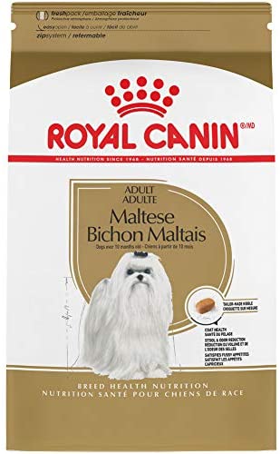 Best Dog Food For Maltese in 2026